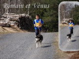 Des rêves polaires