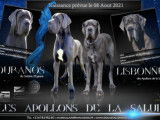 Des Apollons De La Salud
