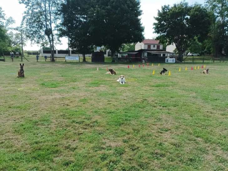 Cercle Cynophile Nivernais