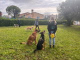 Académie Canine