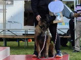 Club d'Initiation et d'Education Canine de Cabariot (CIEC)