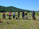 Centre Canin d'Education et de Loisirs (CCEL)