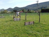 Centre Canin d'Education et de Loisirs (CCEL)