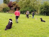 Centre Canin d'Education et de Loisirs (CCEL)