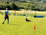 Centre Canin d'Education et de Loisirs (CCEL)
