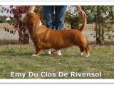 Du clos de Rivensol