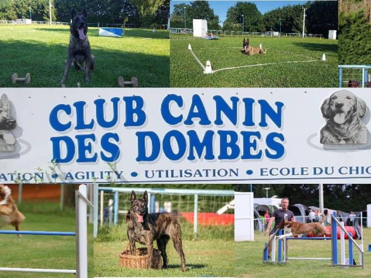 Club Canin des Dombes