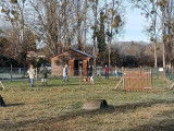 Cercle d’Éducation Canine Dordogne Périgord (CECDP)