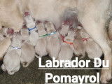 du Pomaryol