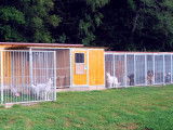 Au Doubs Chenil