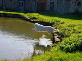 Le Robinard
