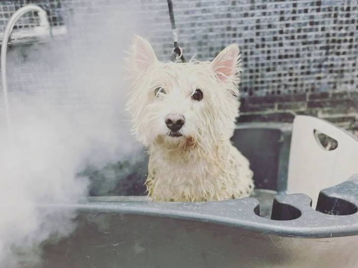 Très calme pendant son bain