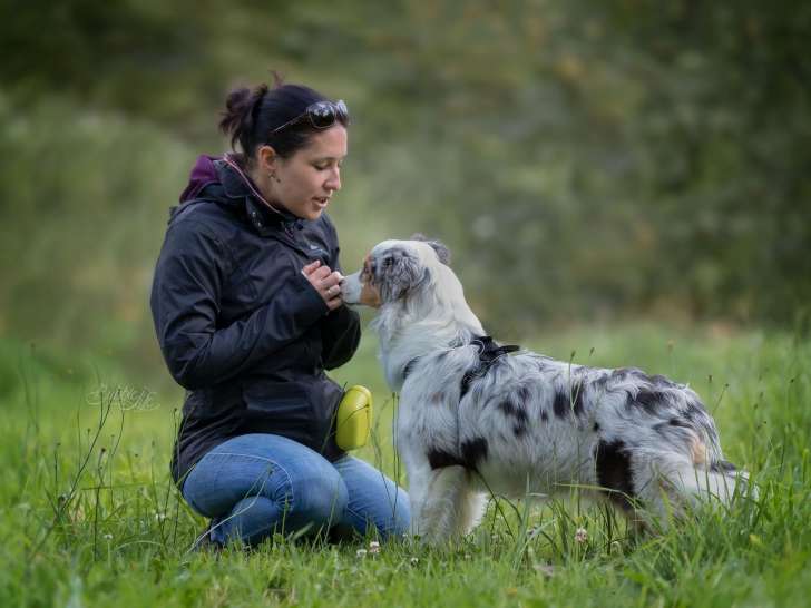 Caniguide &eacute;ducation canine Rennes