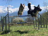 Centre Canin de la Dent de Crolles