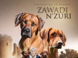 Zawadi n'zuri
