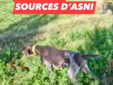 Des Sources d'Asni