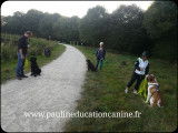 PaulinEducation Canine