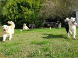 CroMignon