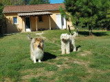 CroMignon