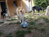 CroMignon