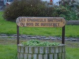 Le bois de Buisseret