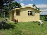 La pension familiale canine