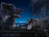 Le pacte des loups