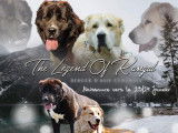 The Legend Of Kangal