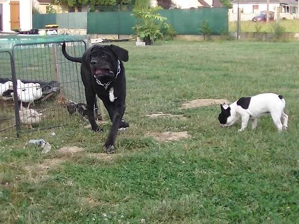 Du Domaine de Calywen