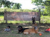 Club canin de Retournac
