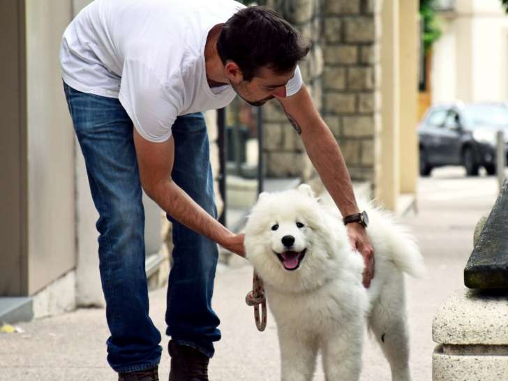 Educateur Canin Comportementaliste Besan&ccedil;on