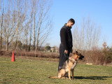 Centre Canin des Plaines Agenaises