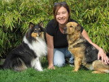 Humeurs de chien