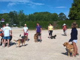 Club Canin du Revermont