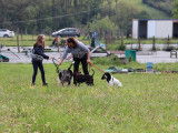 Club Canin du Revermont
