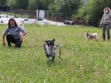 Club Canin du Revermont