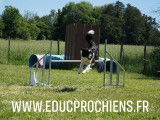 Educprochiens