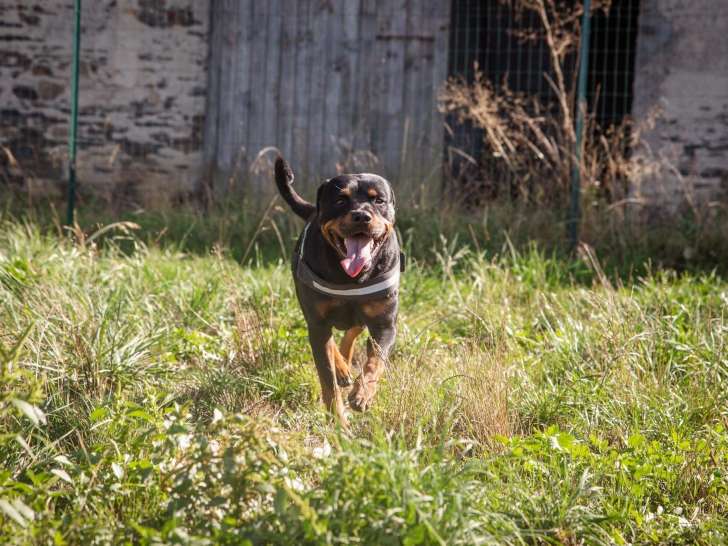 Le Domaine de Touffu