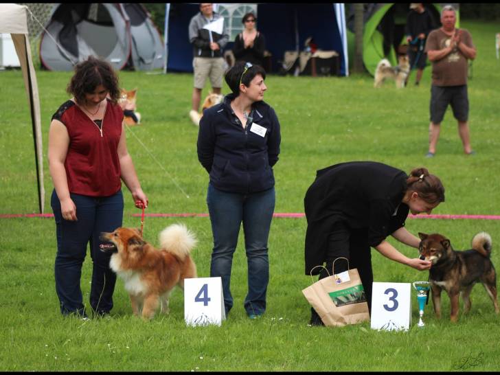 Conditionneur Final chien, chat - Expo - CANISLANA