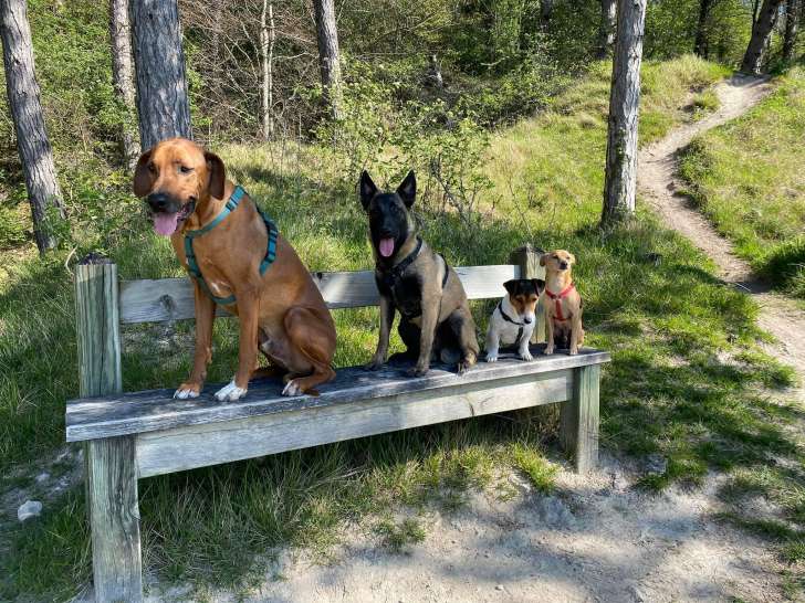 Laure Rozière-Reboulleau