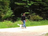 L'empreinte canine
