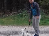 L'empreinte canine