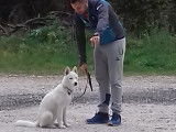 L'empreinte canine