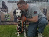 Centre canin Des Plaines Agenaises  47