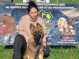 Centre Canin des Plaines Agenaises