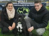 Centre canin Des Plaines Agenaises  47