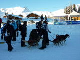 École française de mushing et d'attelages canins