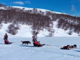 Itinérance mushing