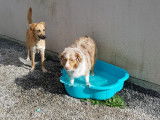 Lab & Compagnie