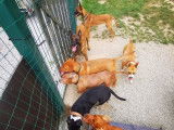 Lab & Compagnie